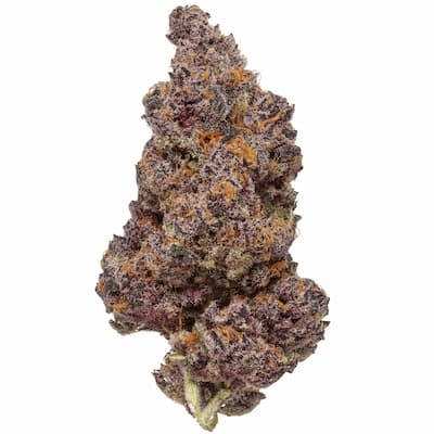 Tropicana Cherry > Advanced Seeds | Feminisierte Hanfsamen  |  Hybrid